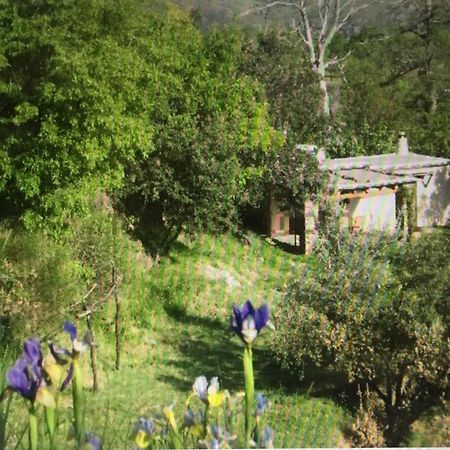 Cortijo La Vinuela Villa Atalbeitar Exterior photo